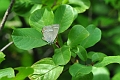 26 07 14_6703_edited-1